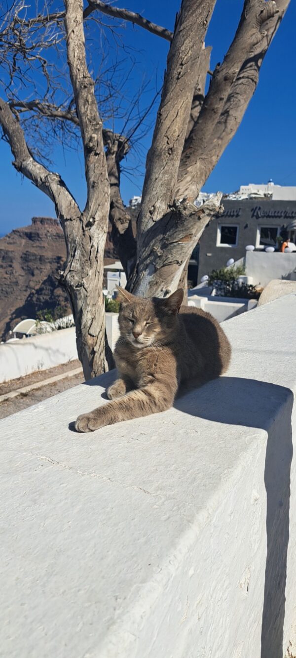 The Complete Santorini Experience – Private Full Day Tour - Image 14
